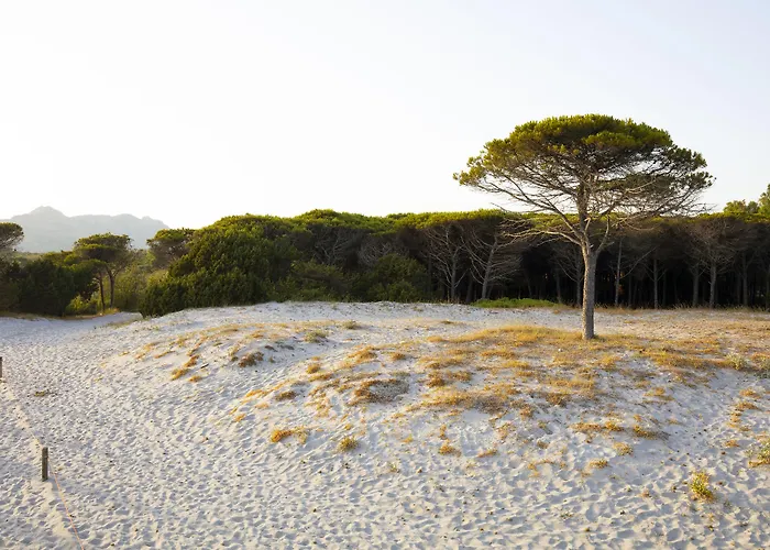 Nicolaus Club Torre Moresca Orosei